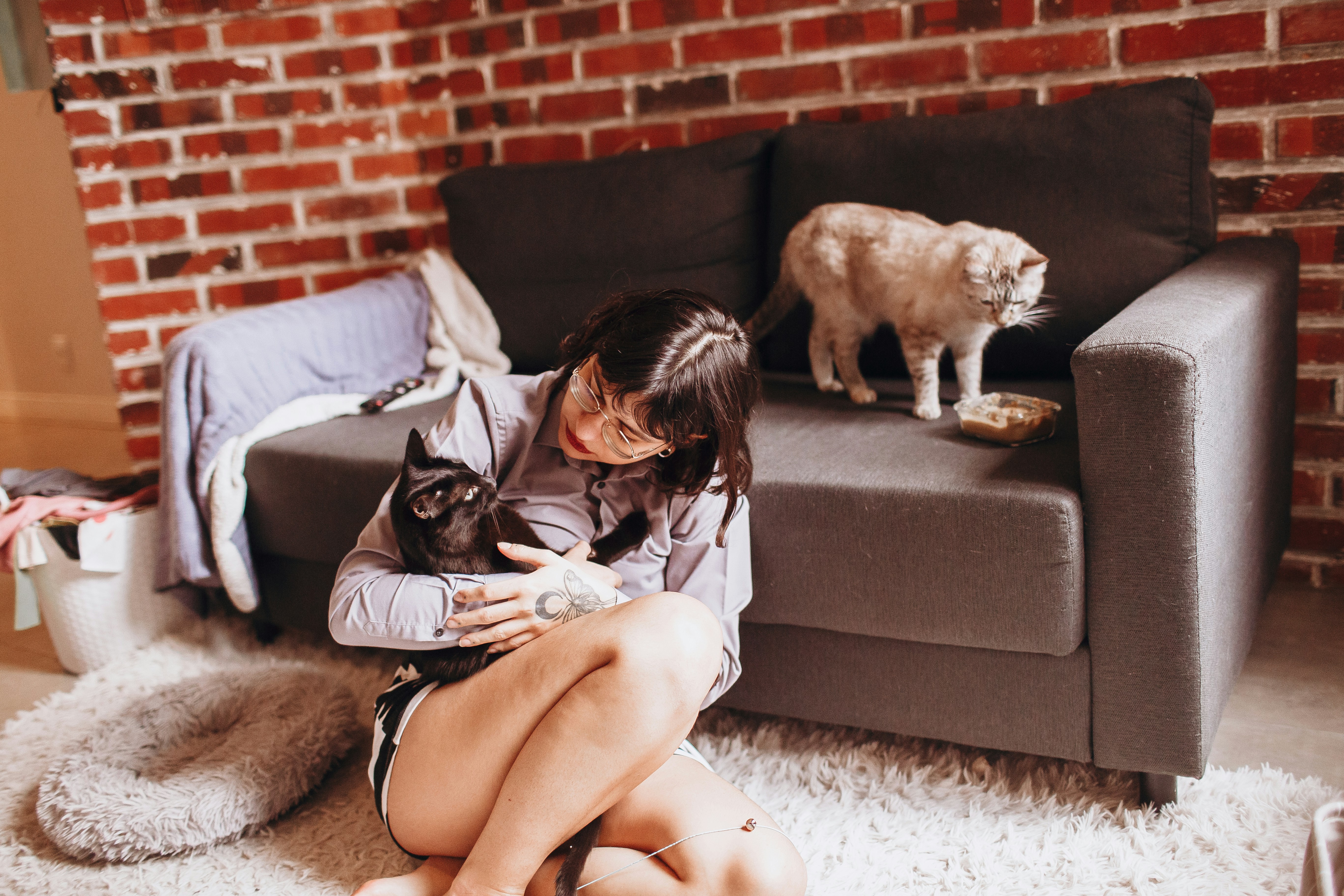 woman in white shirt sitting on brown couch beside brown and white short coated dog