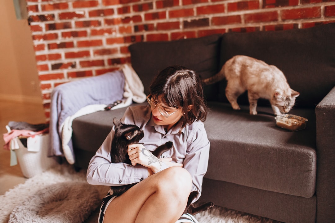 woman in gray long sleeve shirt sitting on gray couch with black and brown cat