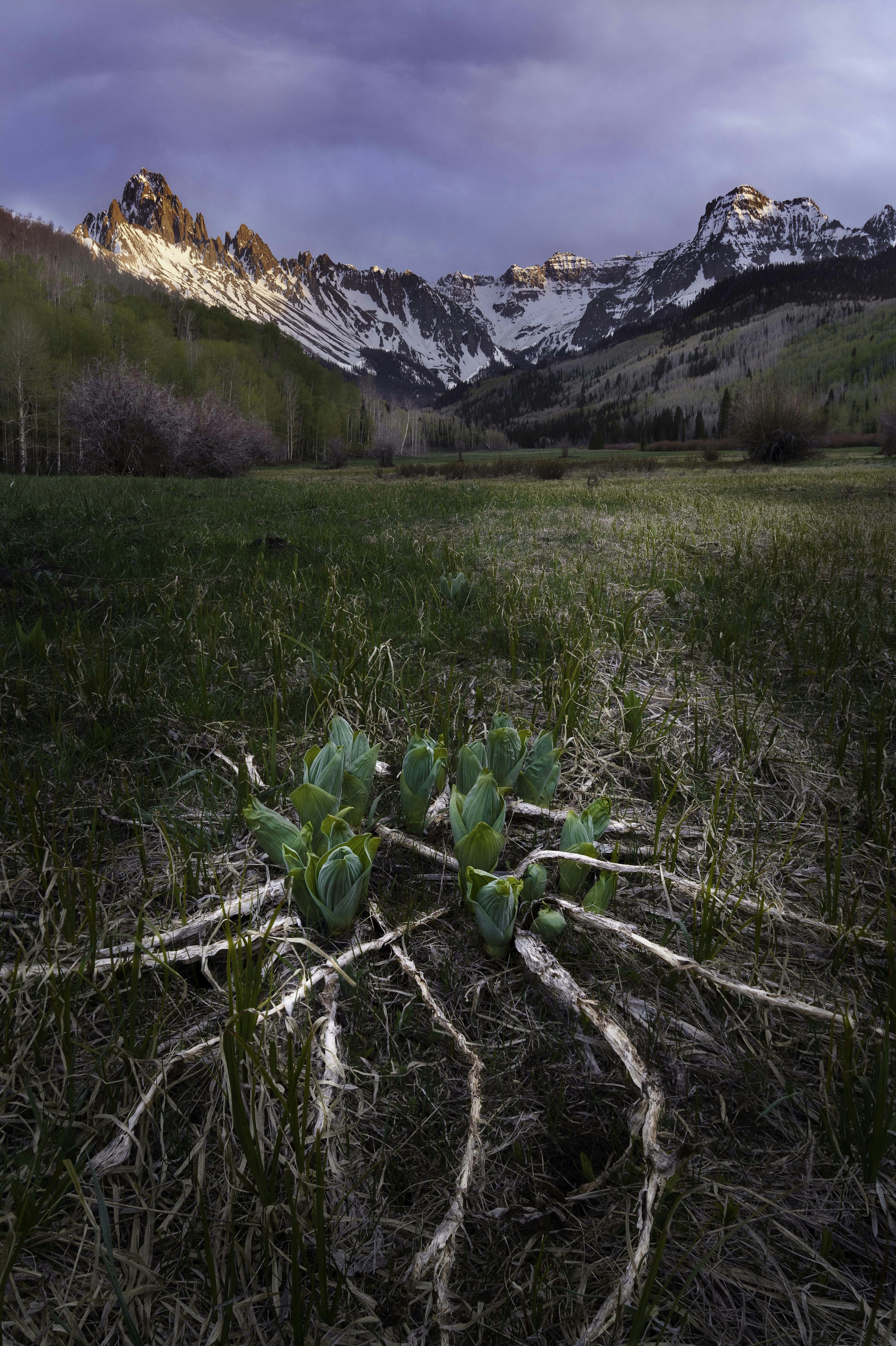 green grass field near mountain during daytime
