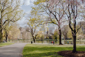 People enjoying the day at the park.