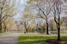 people walking on park during daytime