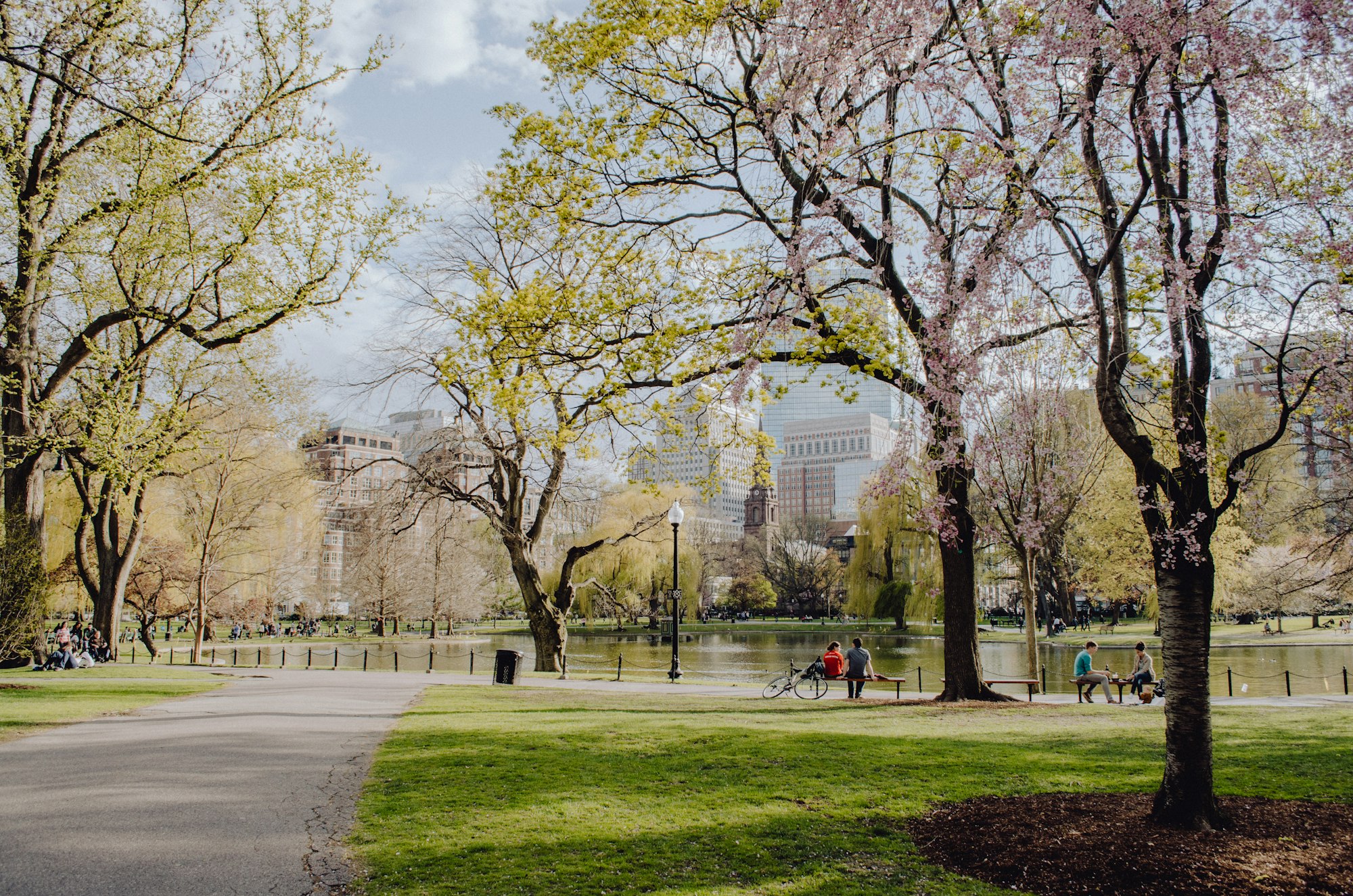 Boston Commons in the Spring