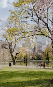 people walking on park during daytime