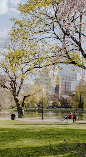 people walking on park during daytime