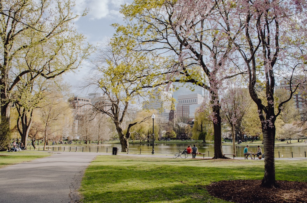 Gente caminando por el parque durante el día