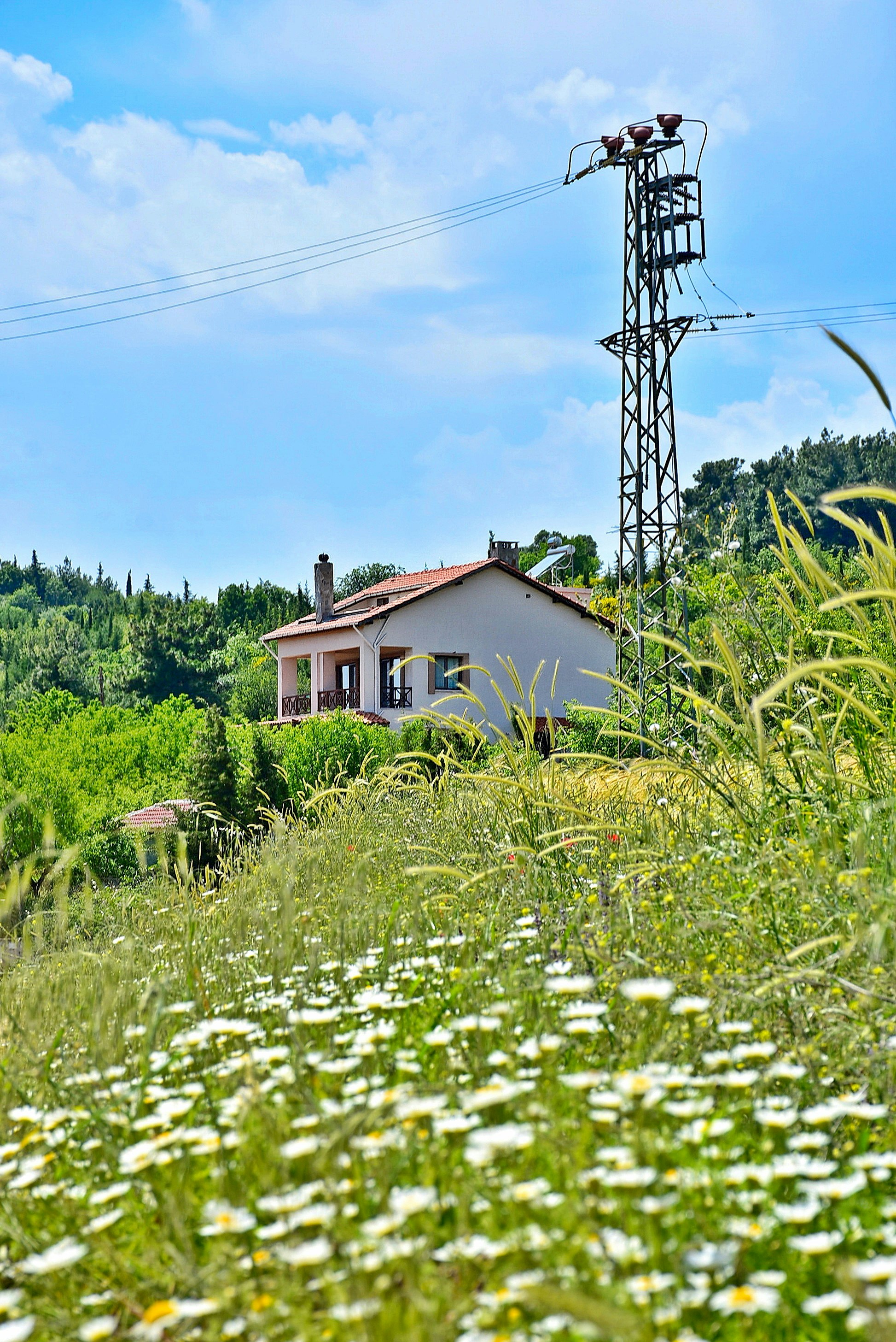 Drei Projekte erhalten unterjährige ELR-Förderung im Landkreis Sigmaringen
