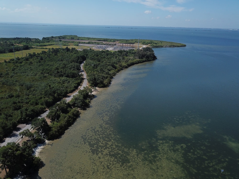 aerial view of green trees and body of water during daytime