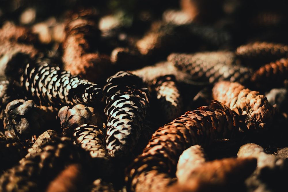 brown and black rope in tilt shift lens