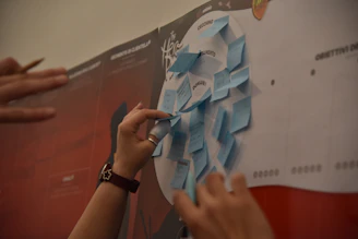 person holding blue and white paper