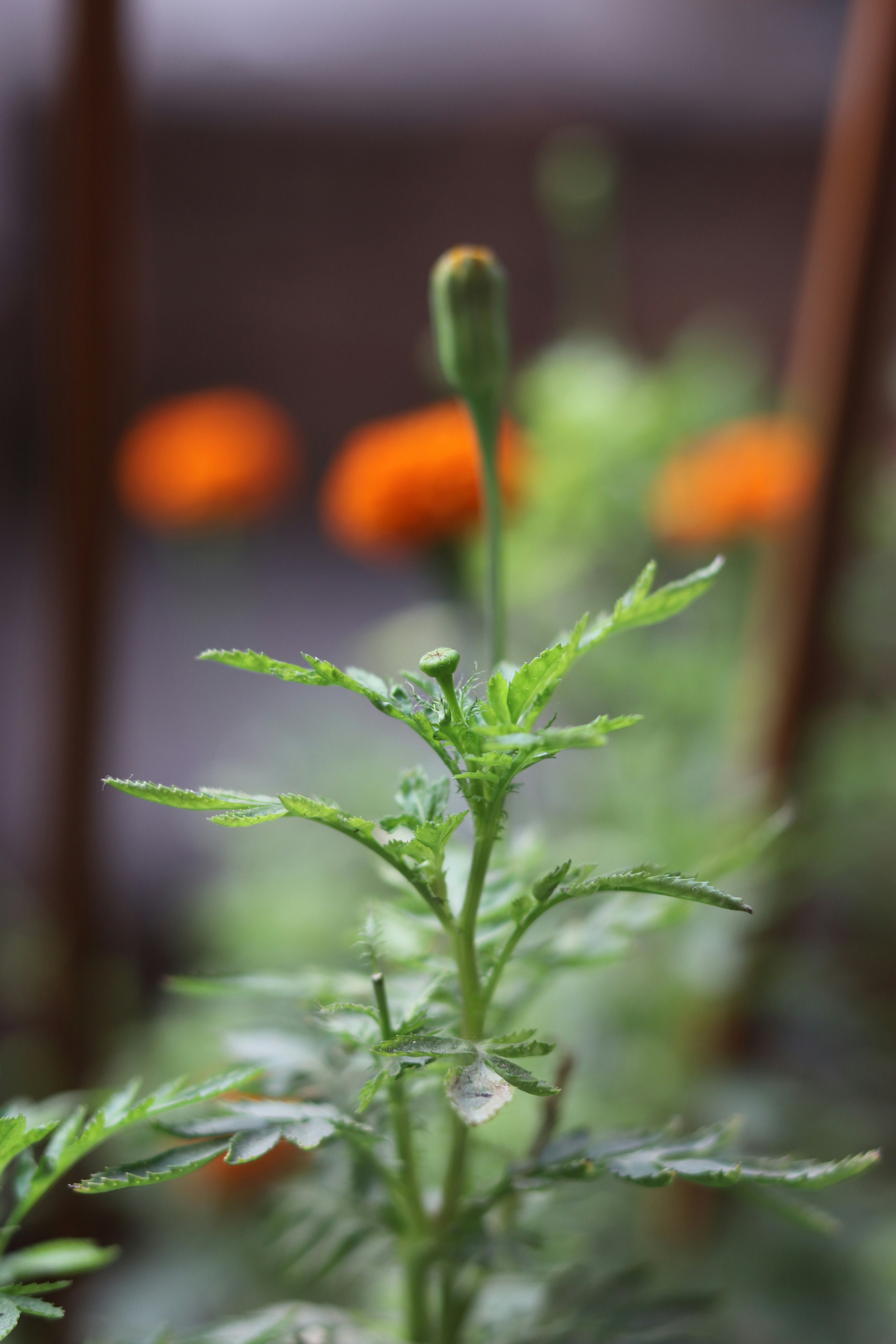 Photo by viplovesaini