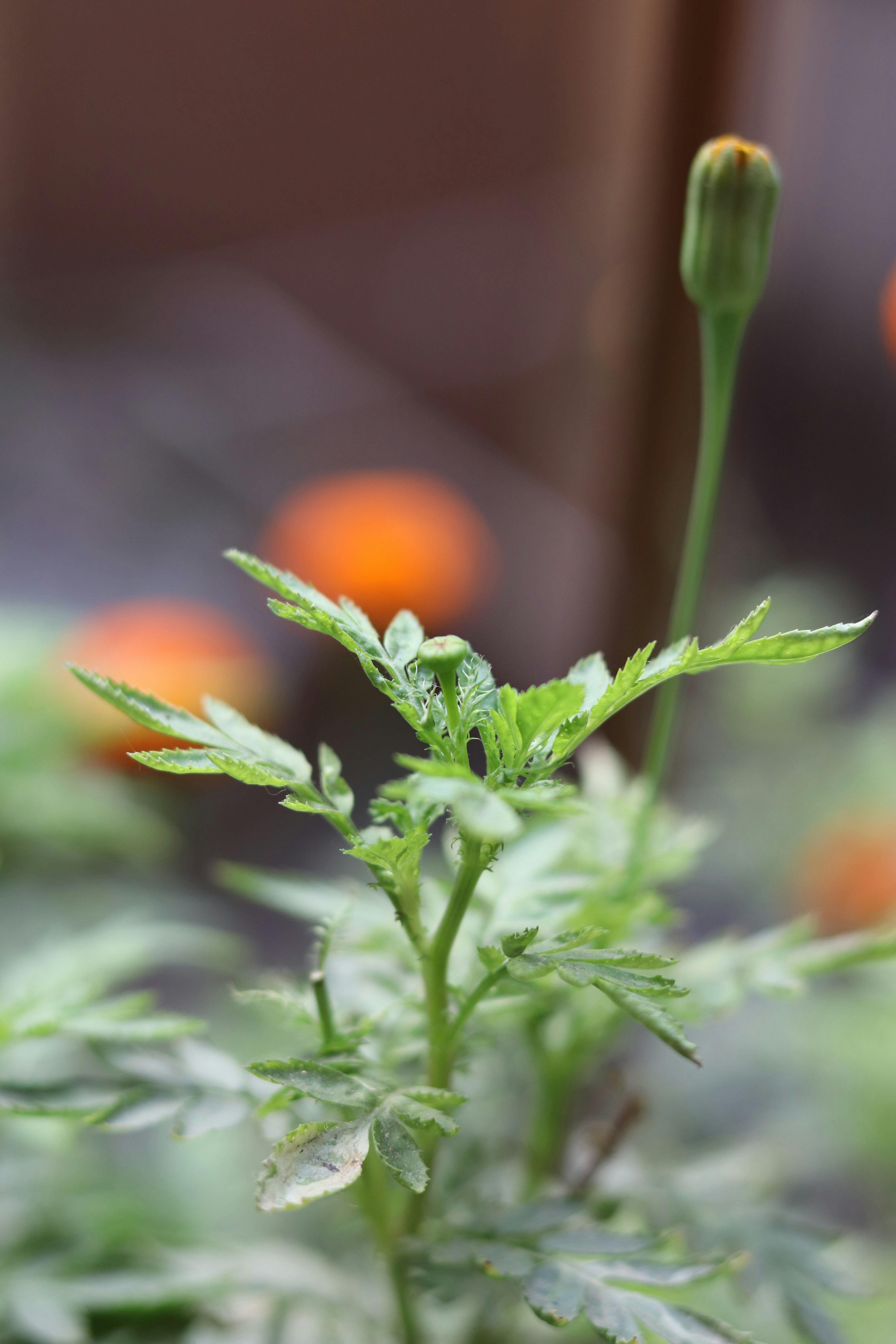 Photo by viplovesaini