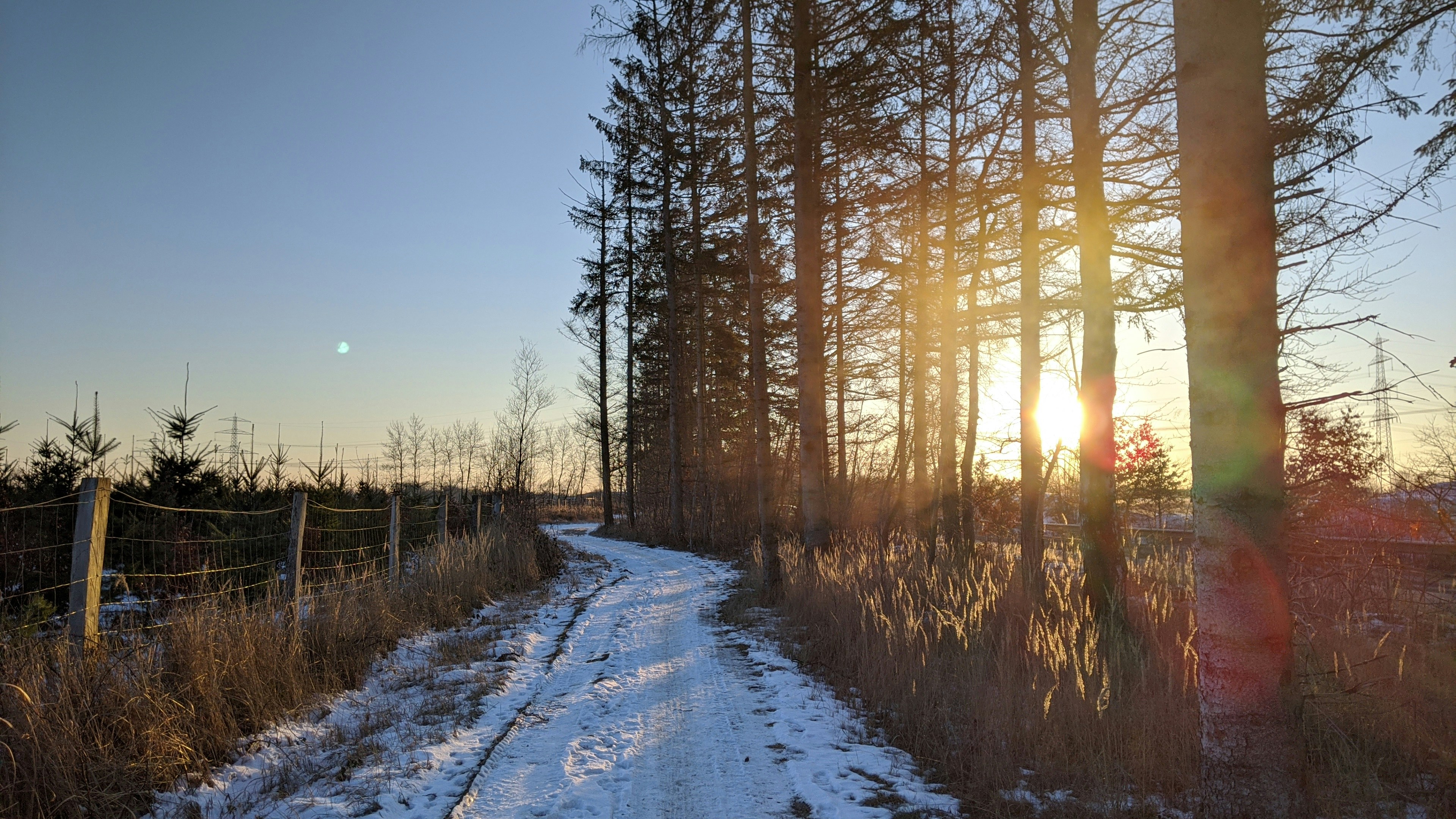 Photo by zwickermann