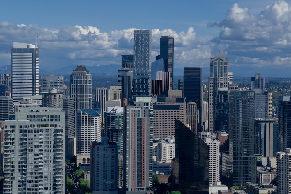 city skyline under blue sky during daytime