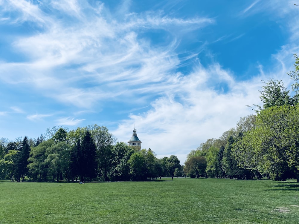 Grünes Grasfeld, umgeben von grünen Bäumen unter blauem und weißem Wolkenhimmel tagsüber