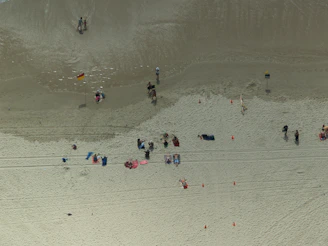 people on beach during daytime