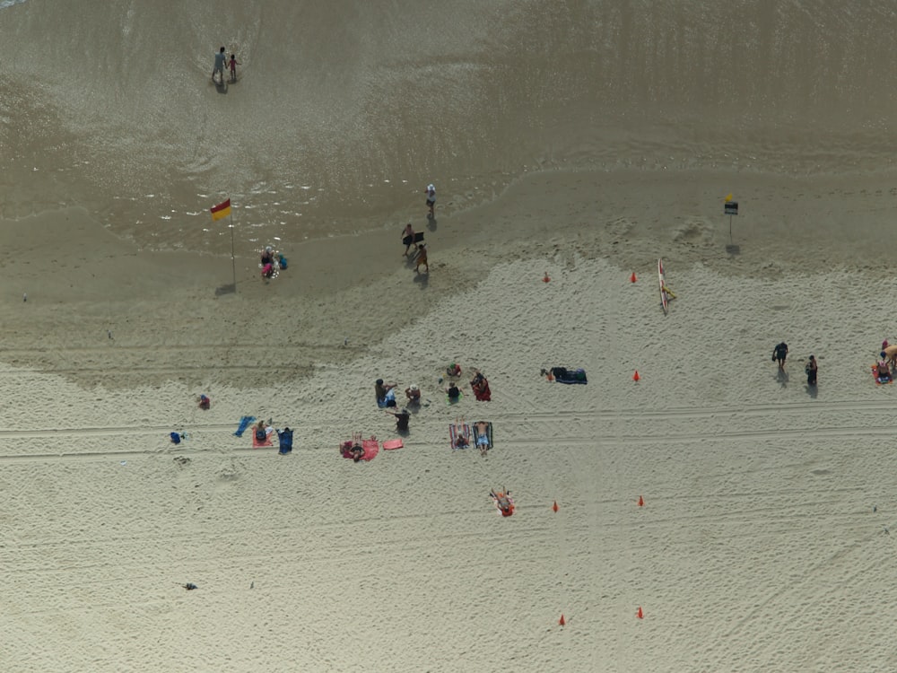 people on beach during daytime