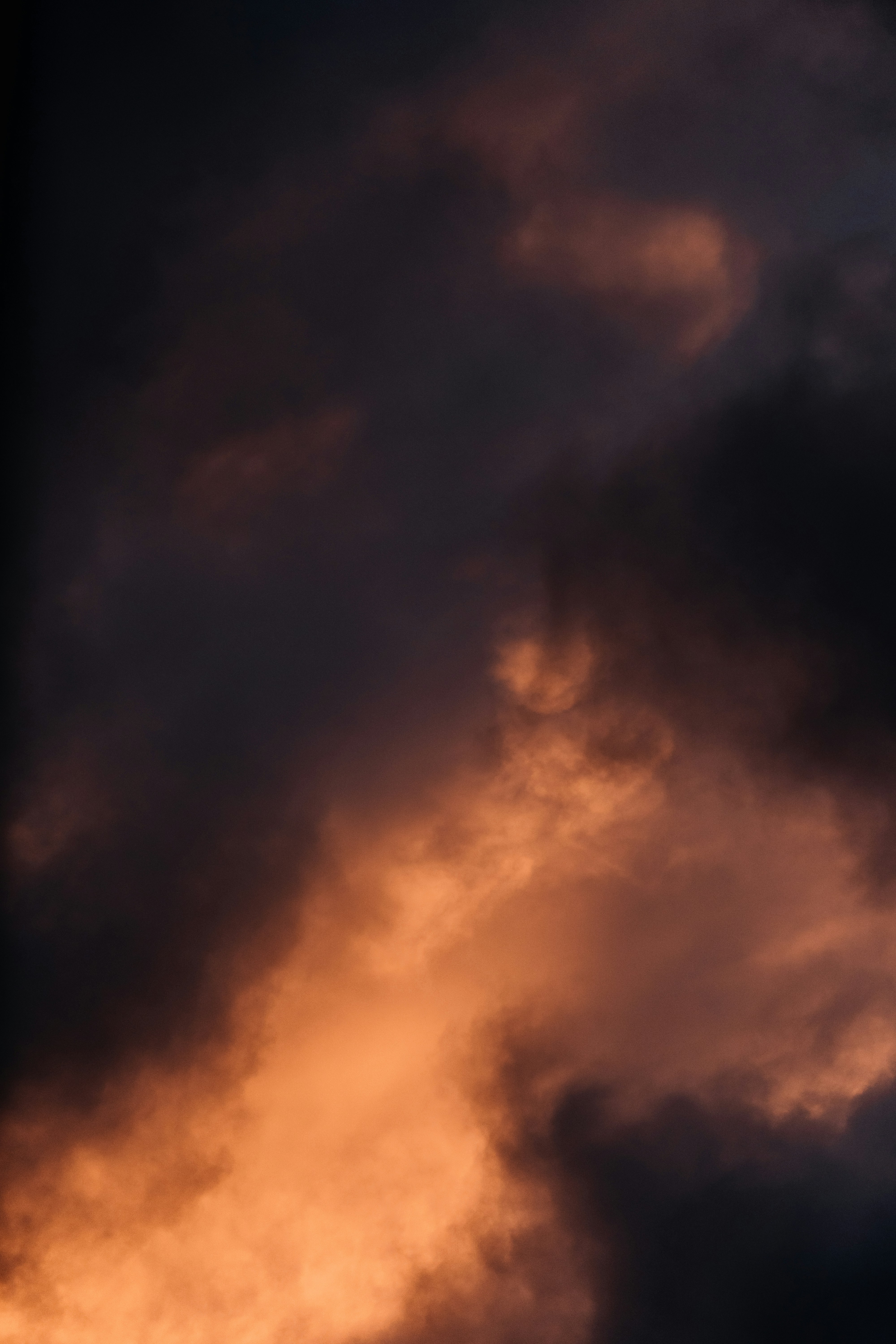 Photo by xandrovandewalle