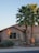 A suburban house with a light brown exterior is surrounded by desert vegetation, including tall palm trees and multiple cacti. The setting sun casts a warm glow on the left side of the building. The landscape features rocks and various desert plants in the neatly arranged front yard.