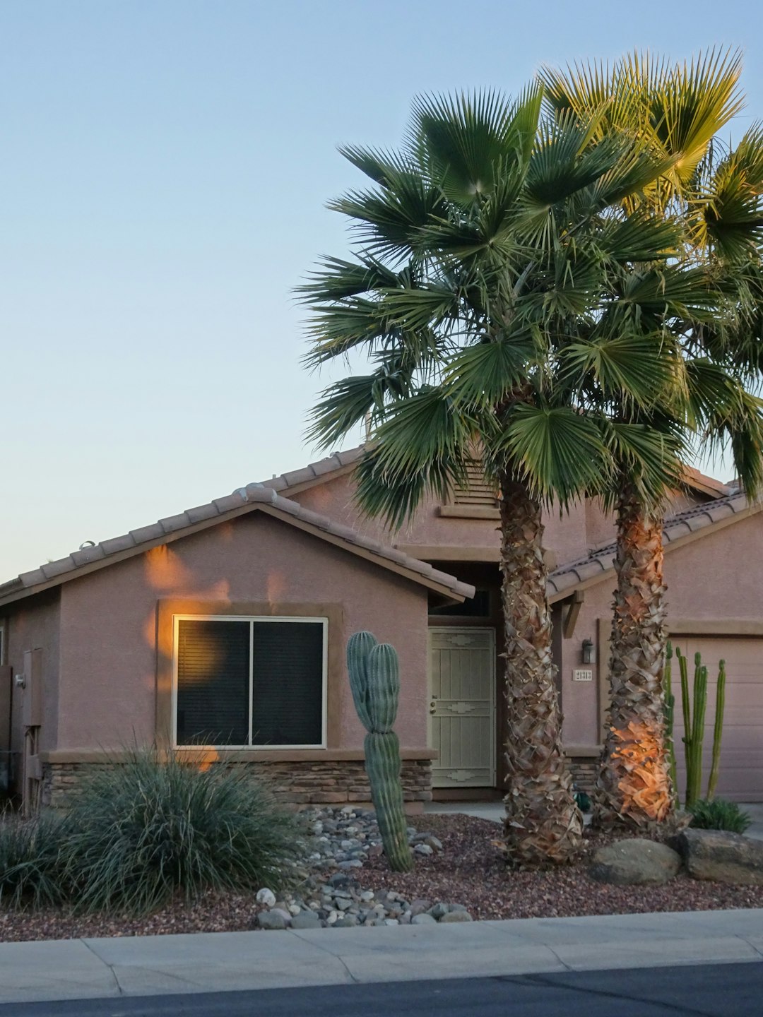 green palm tree near brown wooden house during daytime