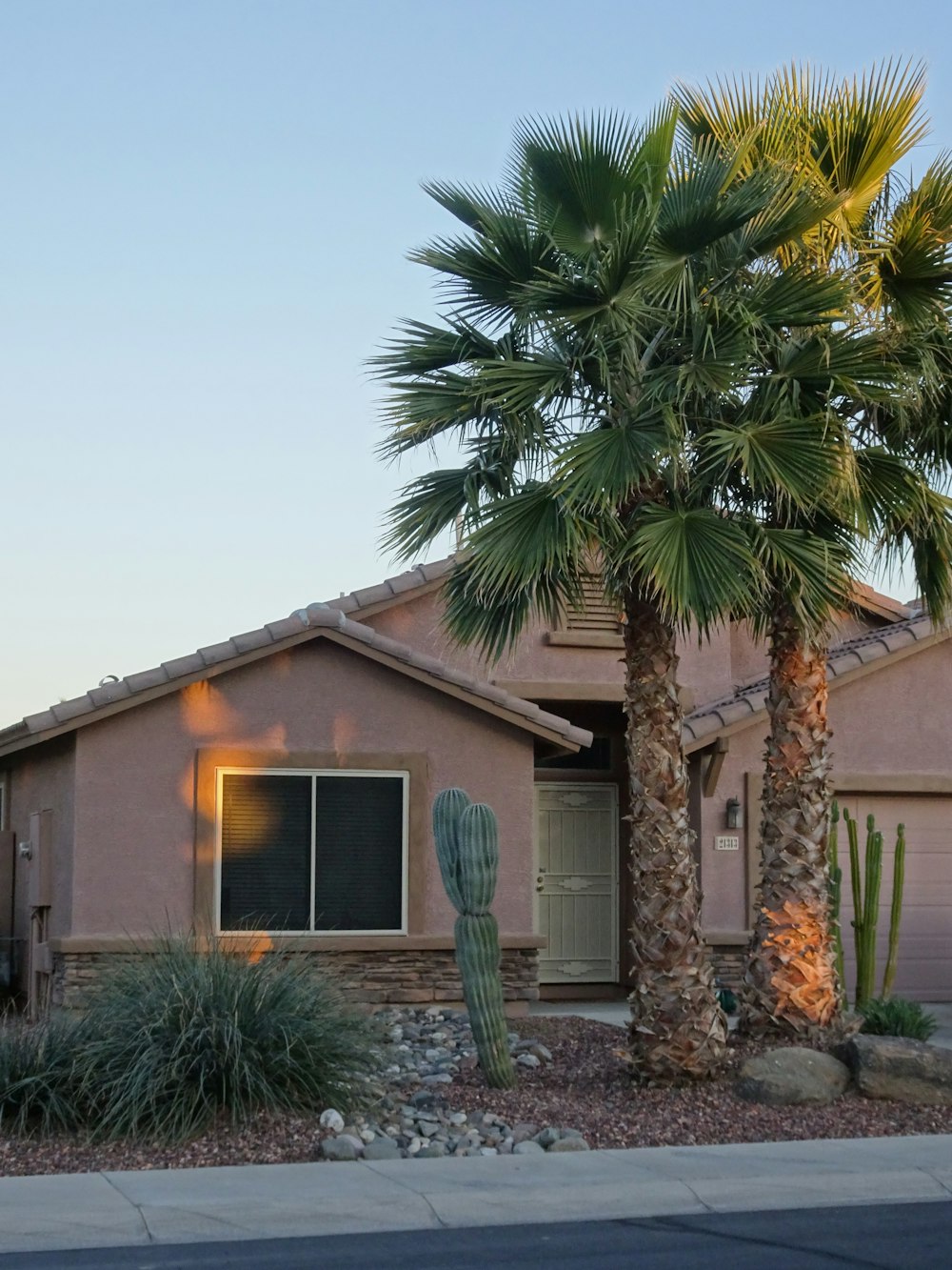 green palm tree near brown wooden house during daytime