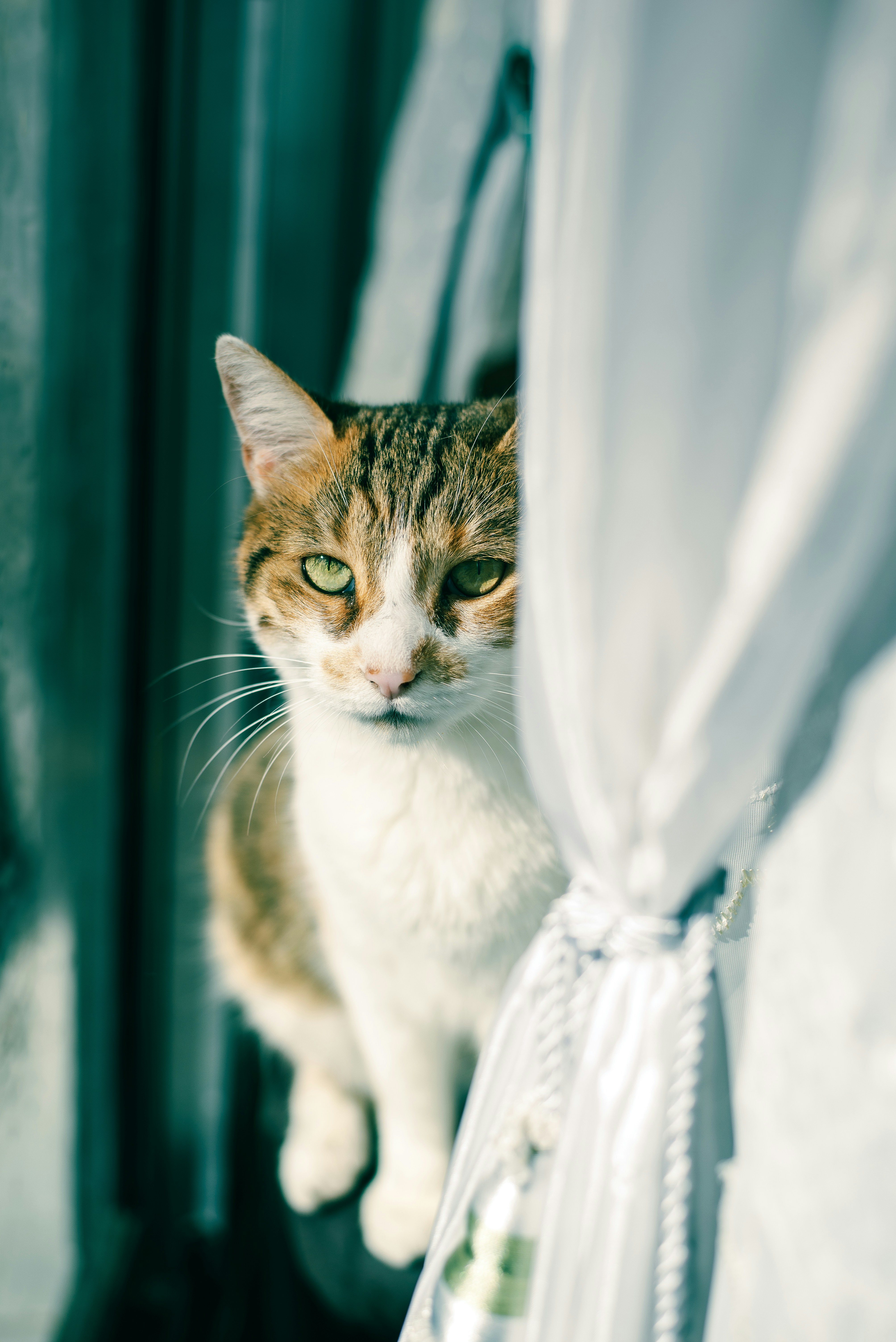 Photo by agustinfernandez