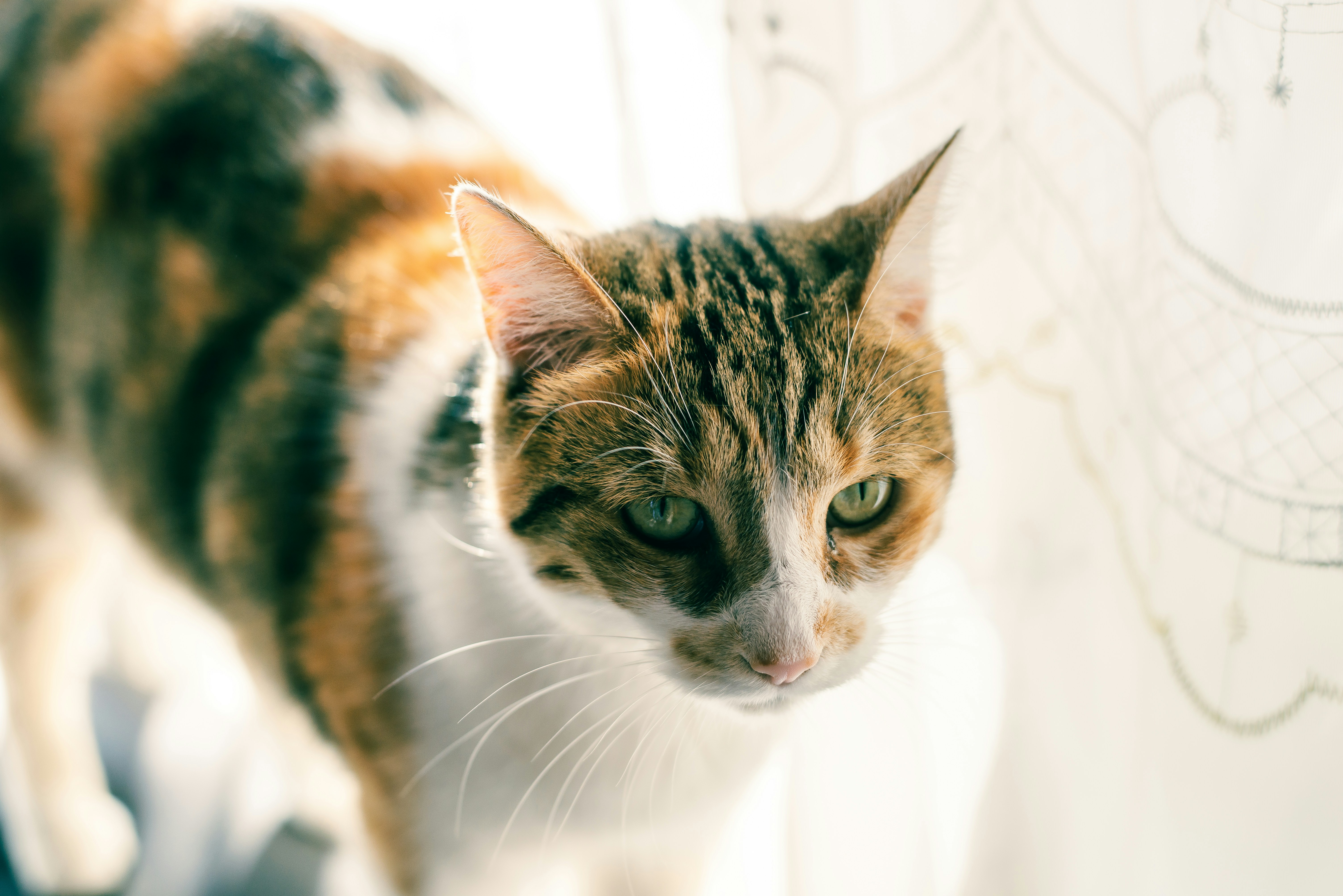 Photo by agustinfernandez