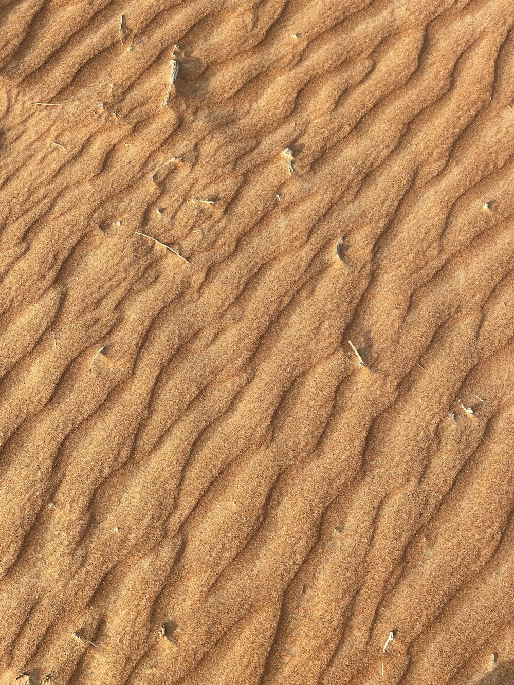 brown sand with brown soil