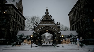 brown and gray concrete building covered with snow during daytime
