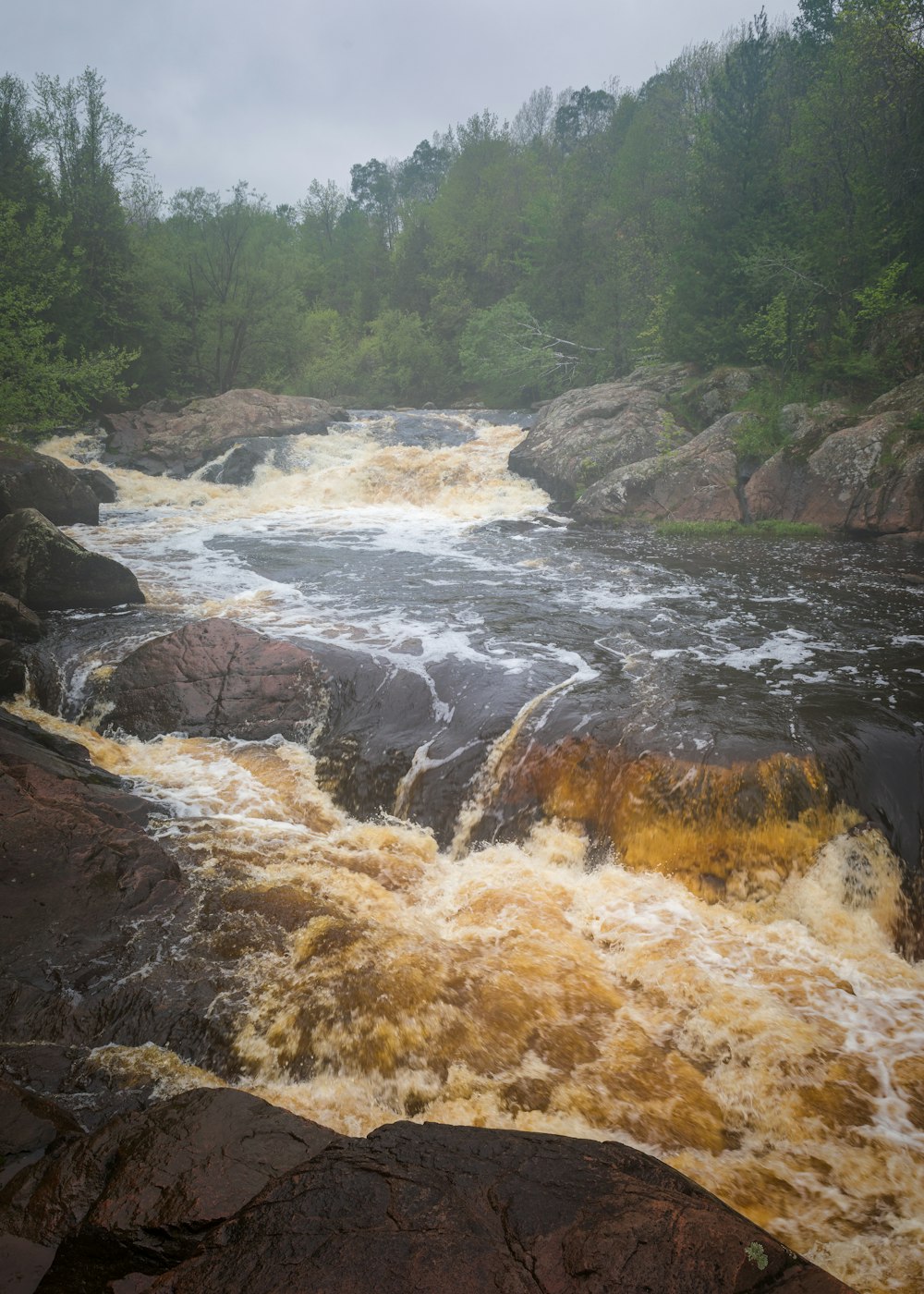 river in the middle of forest during daytime