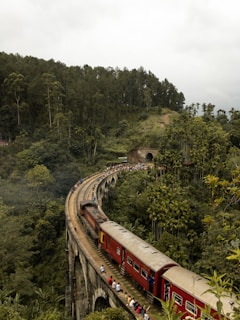 red train on rail road between green trees during daytime