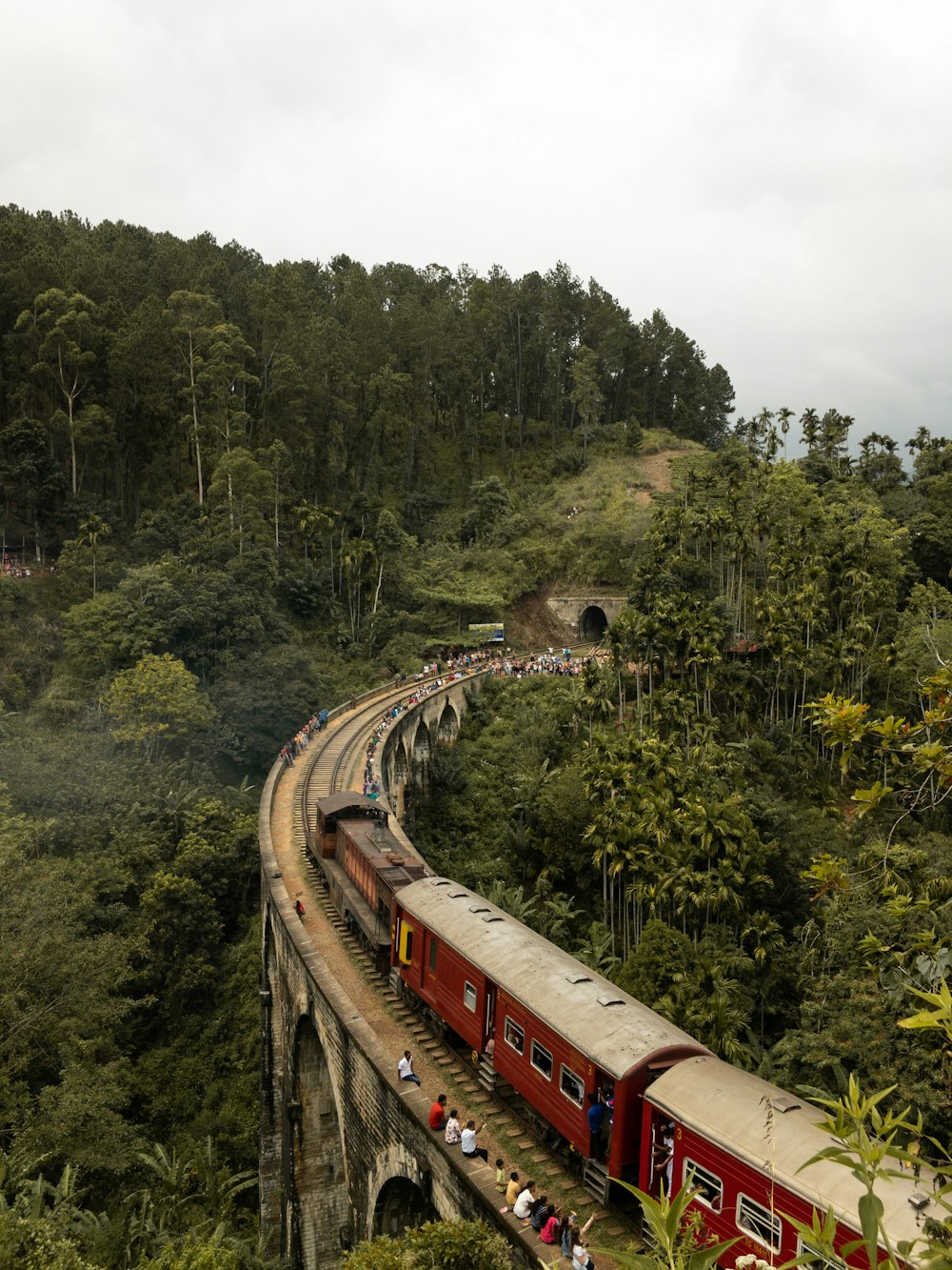 red train on rail road between green trees during daytime