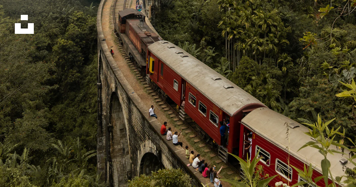 Red Train Route Red train on rail road between green trees during daytime photo – Free ...