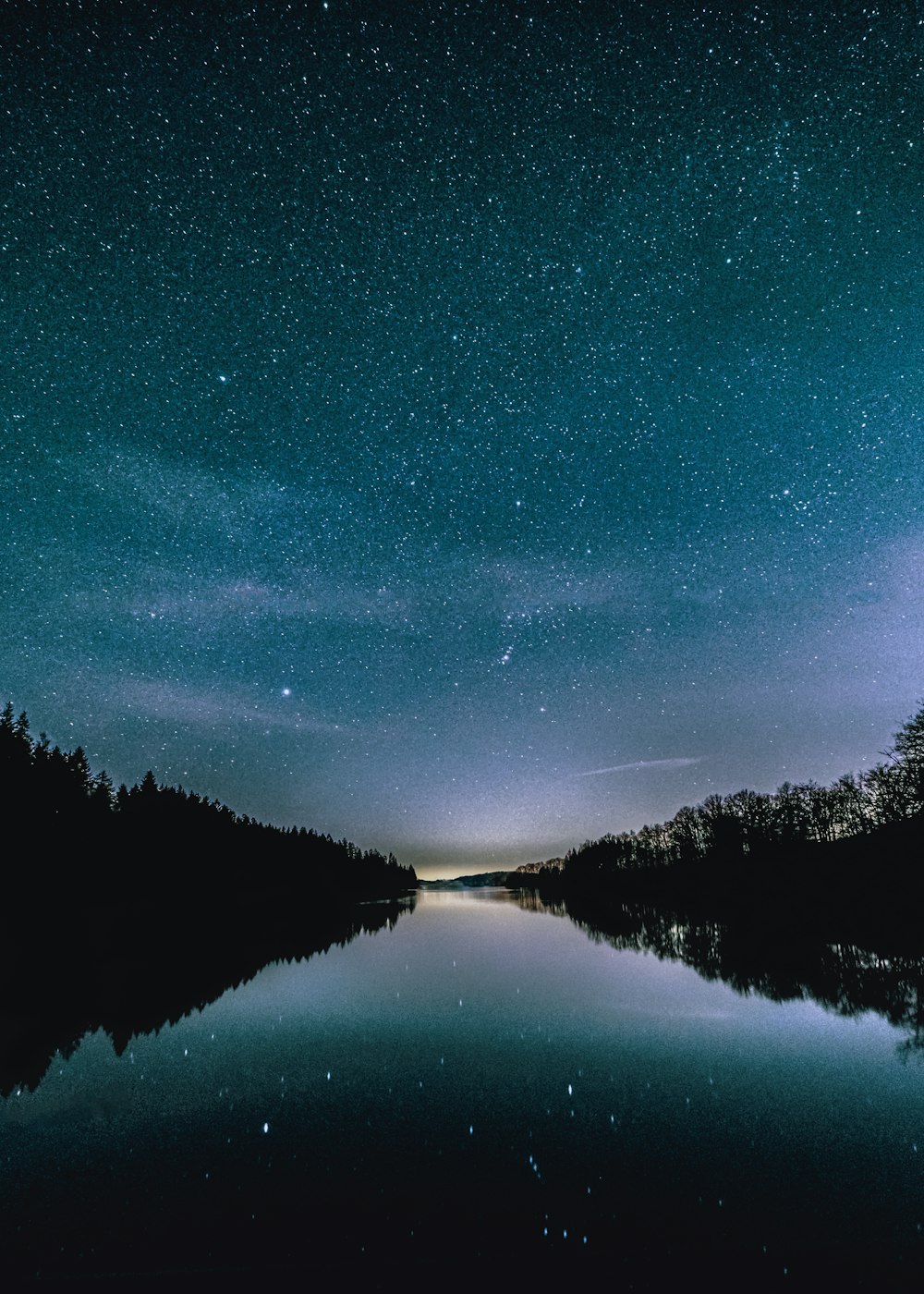 silhouette of trees near body of water during night time