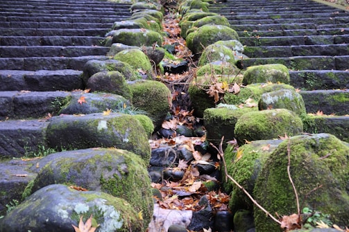 Rows of stone steps covered in green moss and scattered with fallen leaves create a natural and rustic appearance. The stones are steeped in history, showing signs of weathering and age. Twigs and branches interspersed among the stones enhance the organic feel.