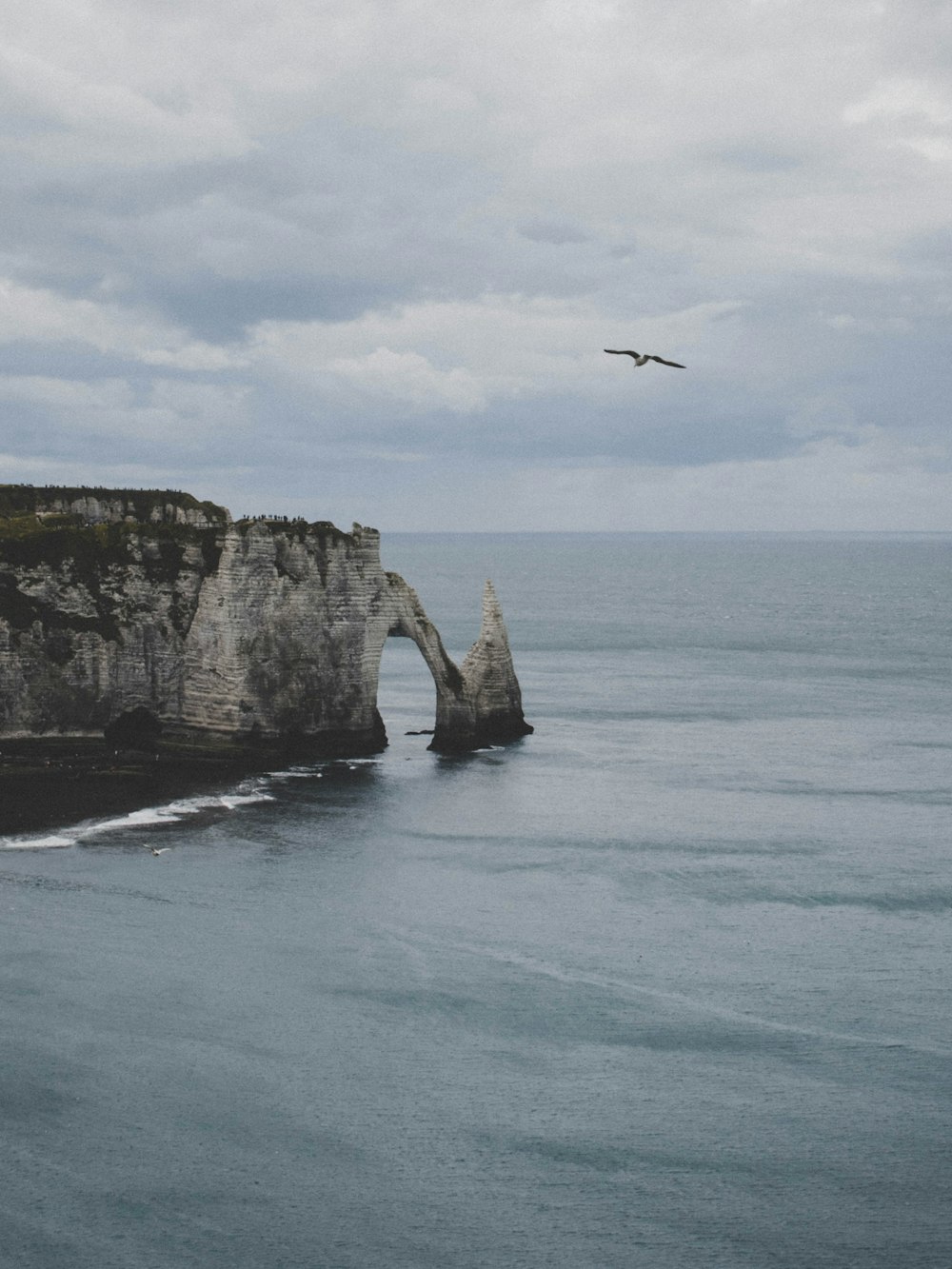 birds flying over the sea during daytime