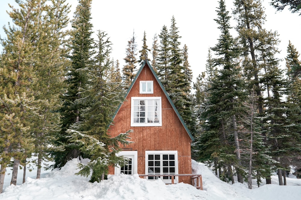 brown wooden house in the middle of snow covered pine trees