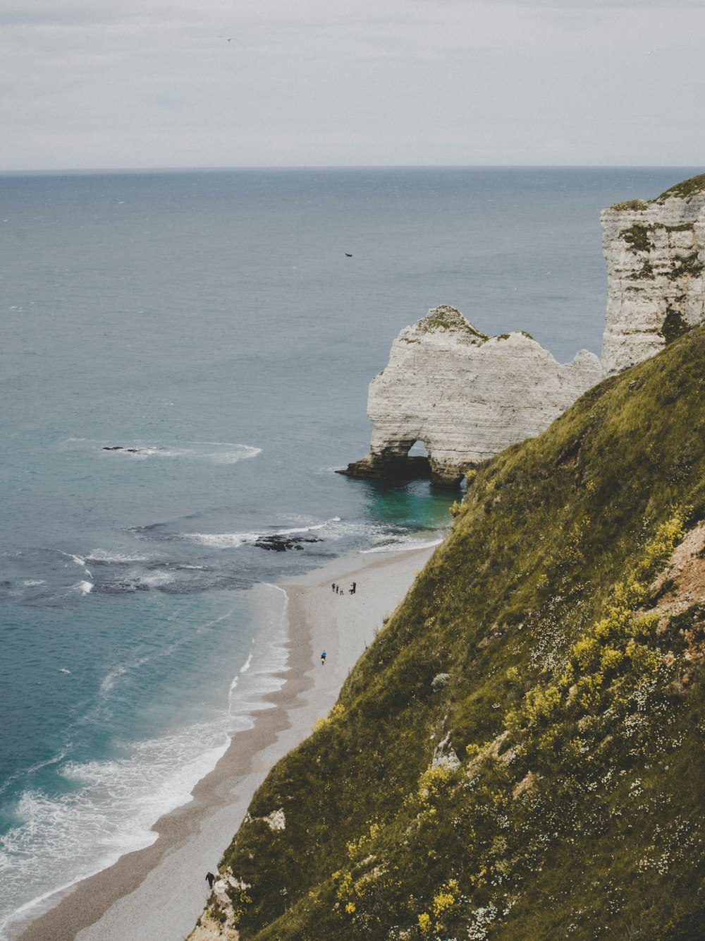 green and brown rock formation beside body of water during daytime