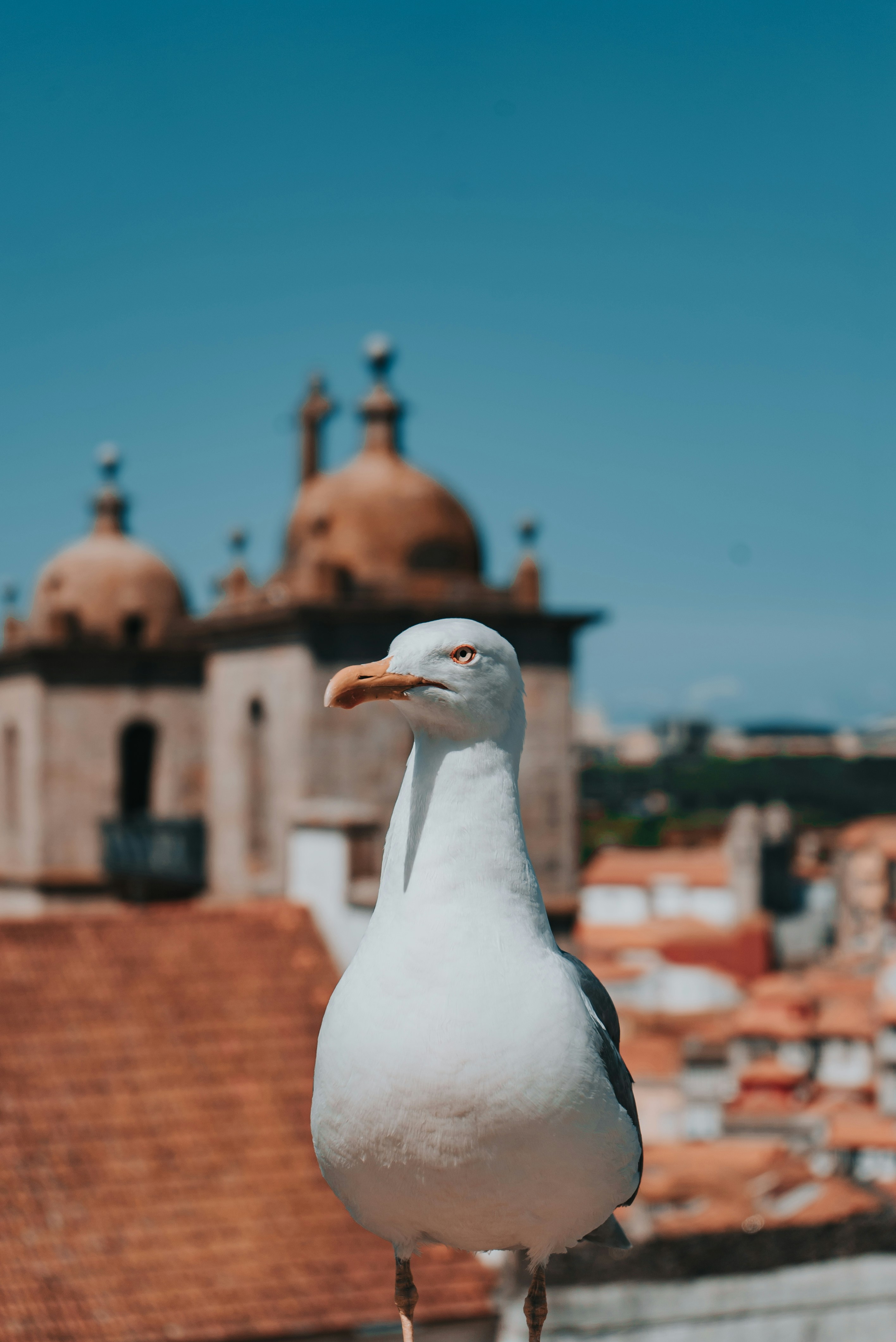 Photo by paulo0000000000000