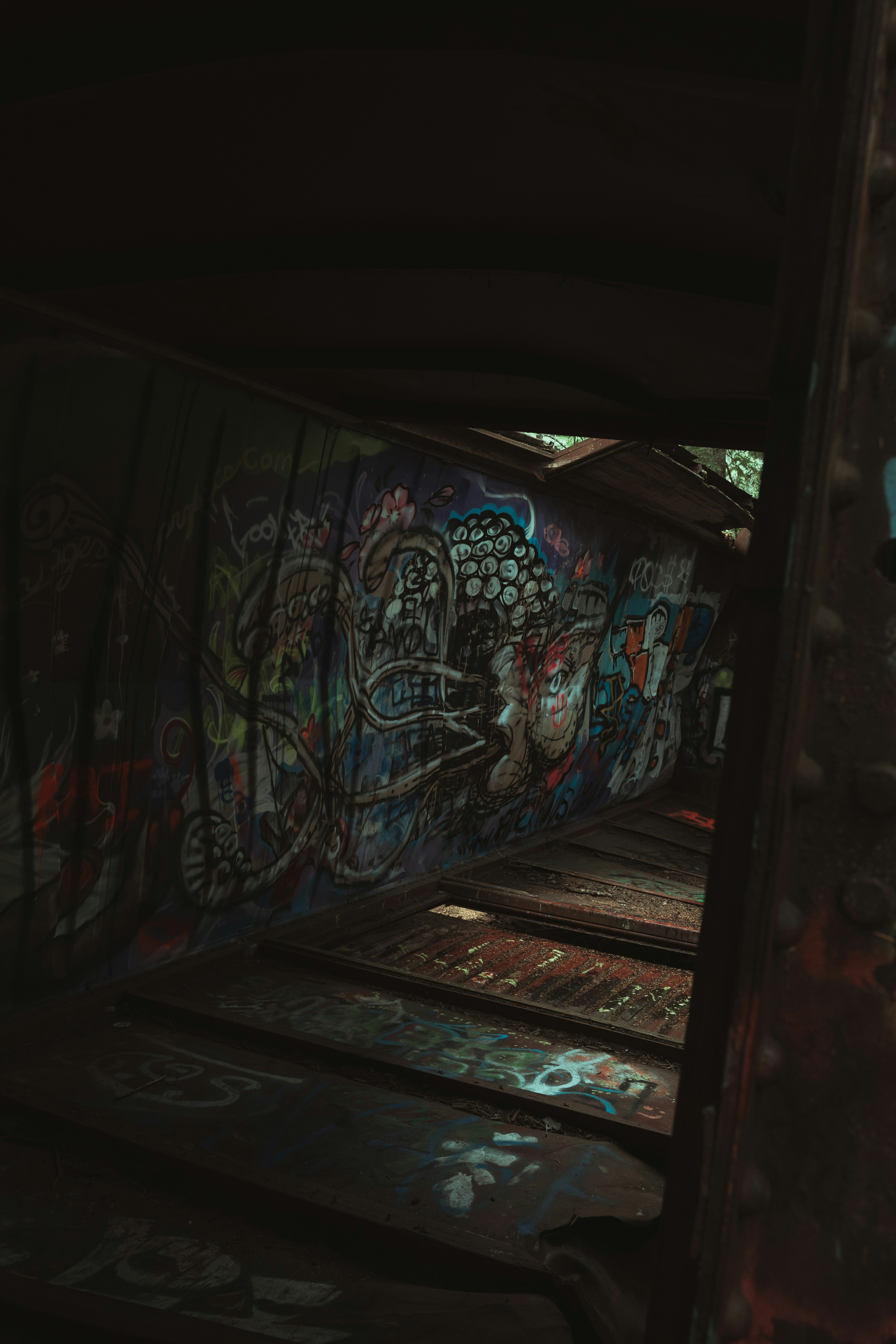 Photo by thomaslrdeau