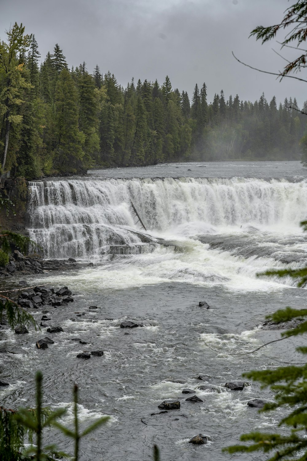 water falls in the forest