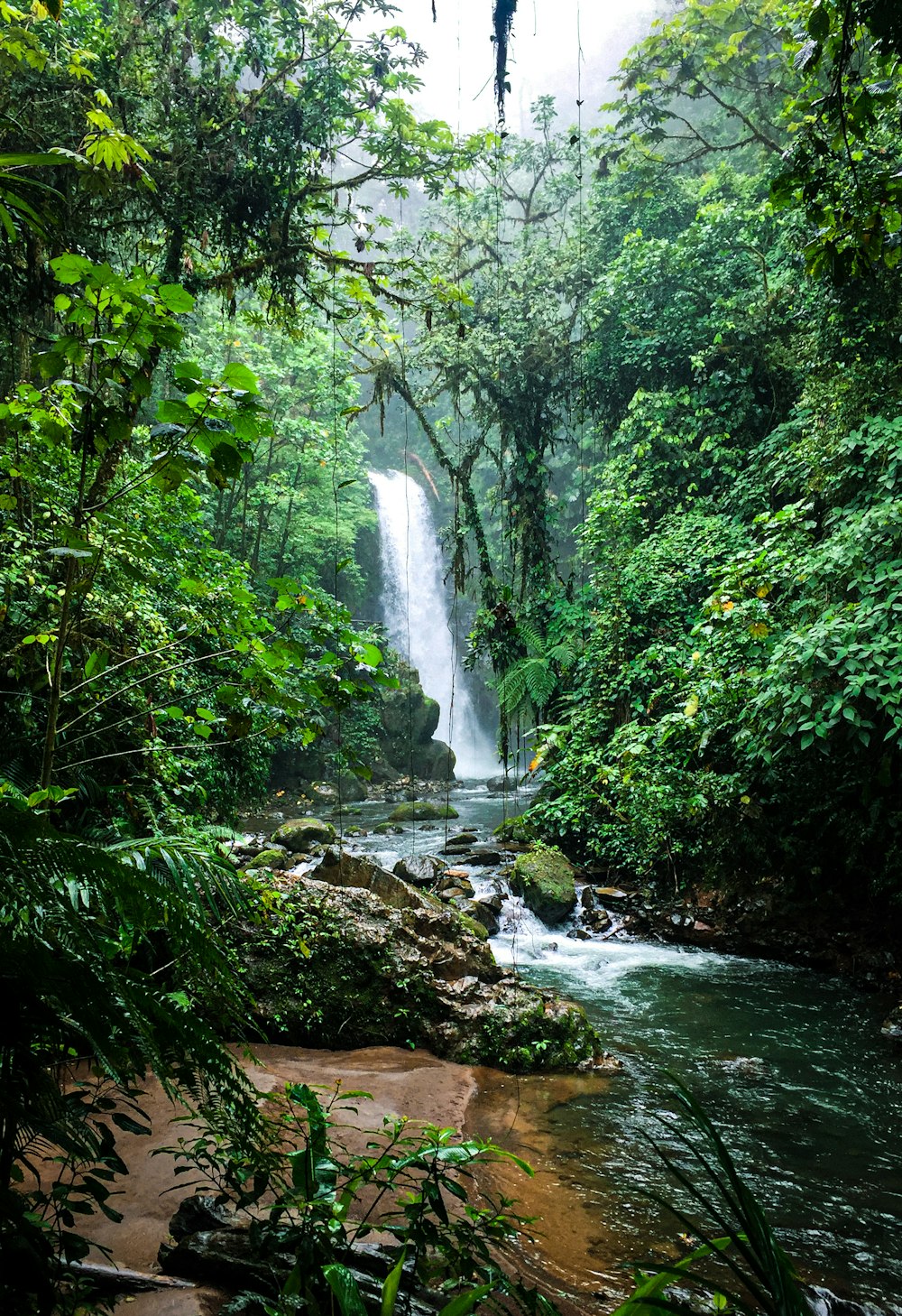 waterfalls in the middle of the forest during daytime