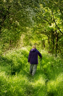 Models wearing purple mango outfits in soft purple and brown tones, walking in a sunlit urban park.