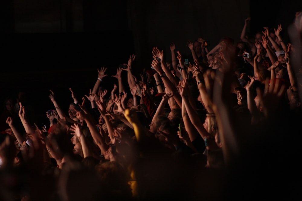 personas en un concierto durante la noche