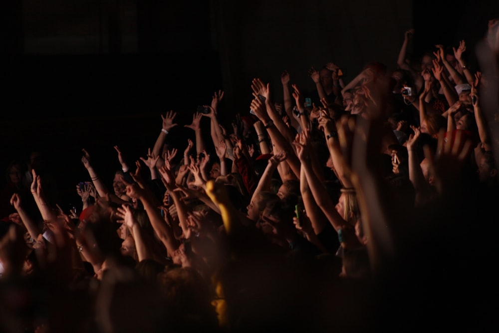 people in a concert during night time