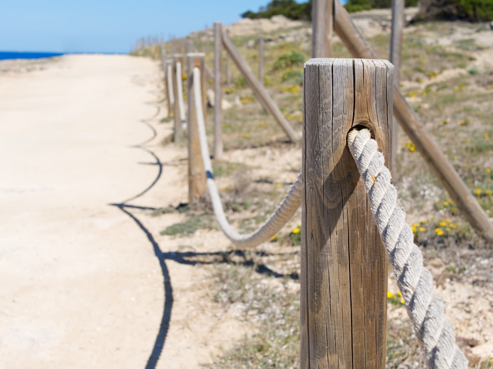 White rope on brown wooden fence during daytime photo – Free Los alcázares  Image on Unsplash