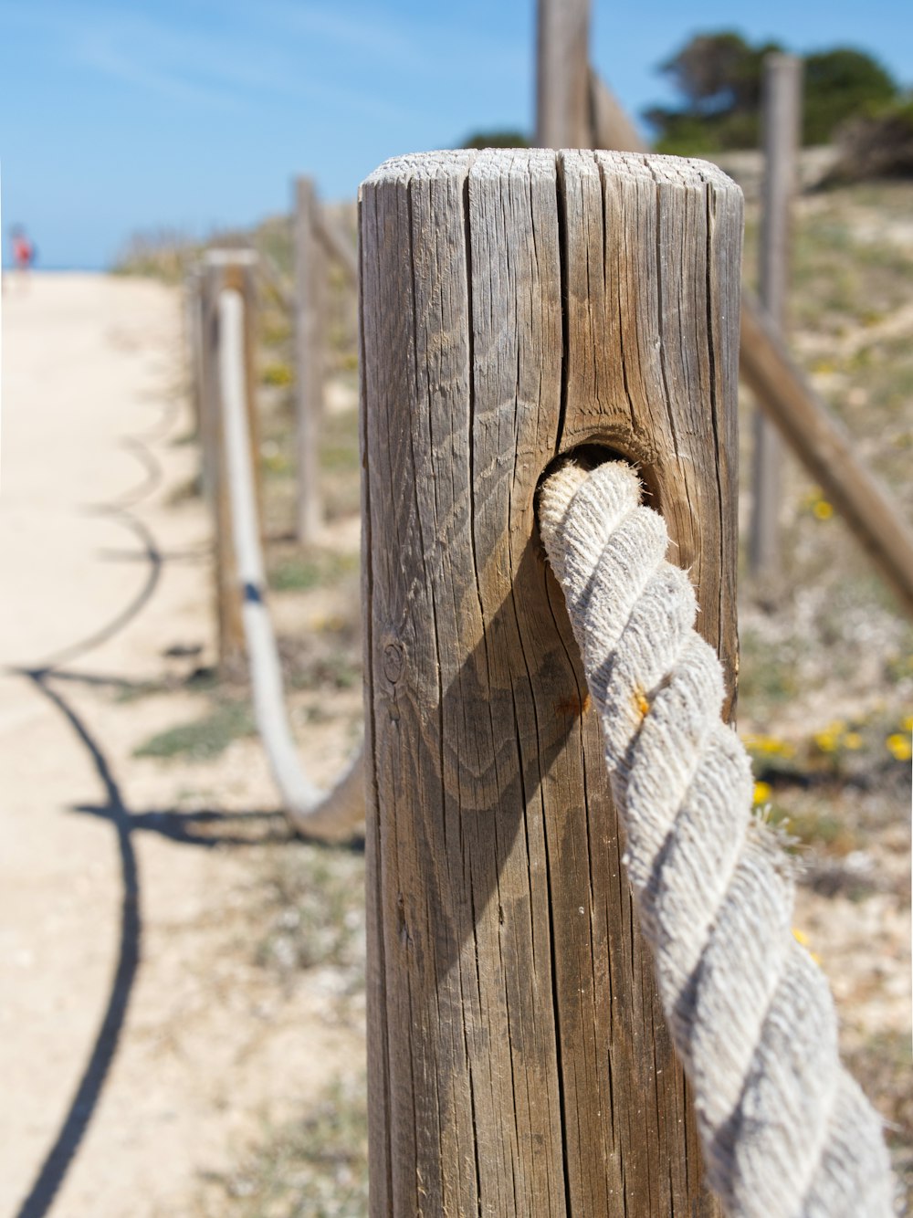 Brown wooden fence with white rope photo – Free Los alcázares