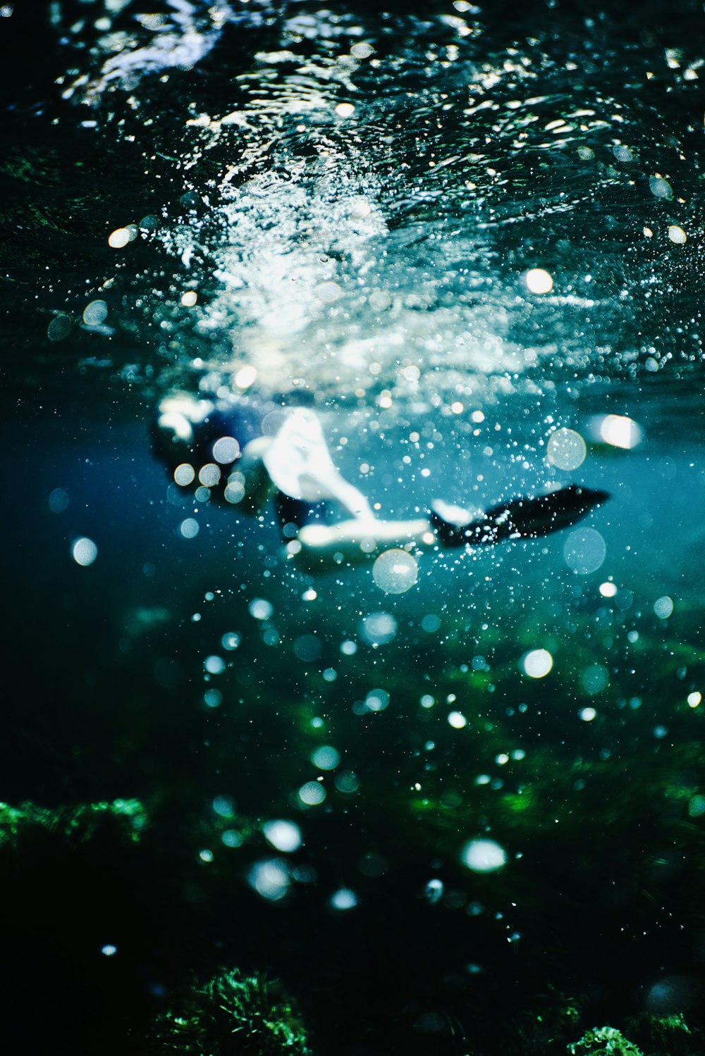 person in black pants and white sneakers in water