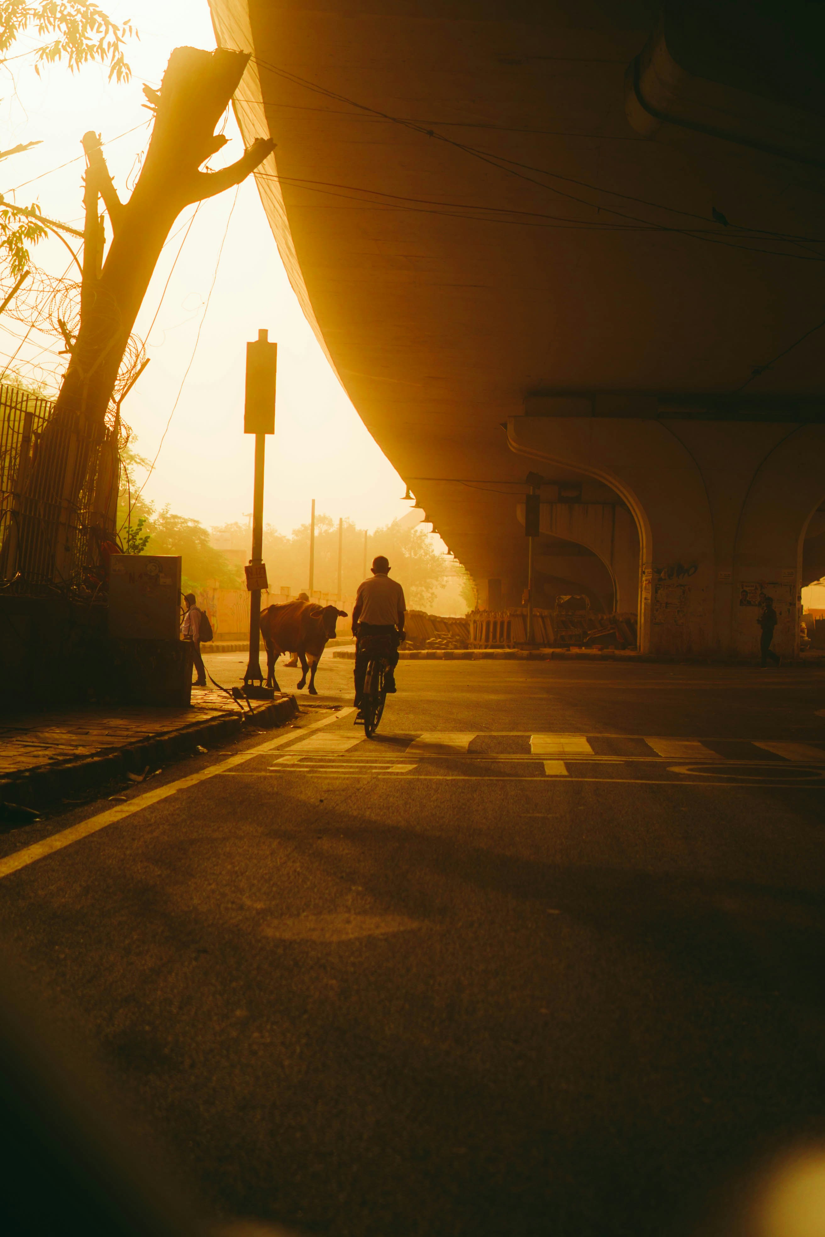 Photo by ayushk9