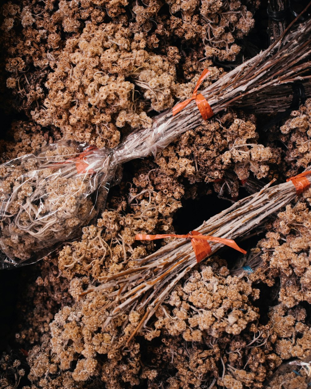 white and orange stick on brown soil