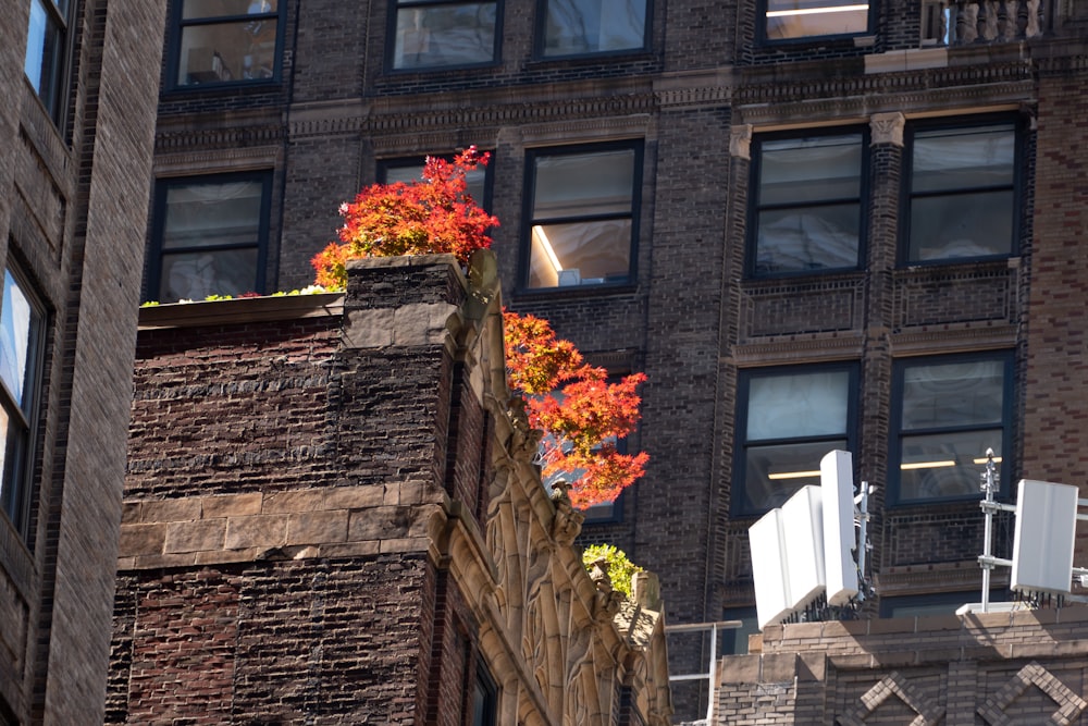 brown brick building with orange and yellow flowers